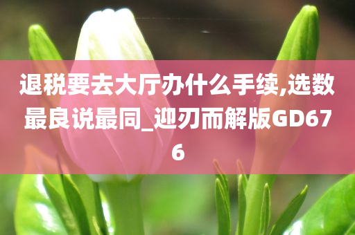 退税要去大厅办什么手续,选数最良说最同_迎刃而解版GD676