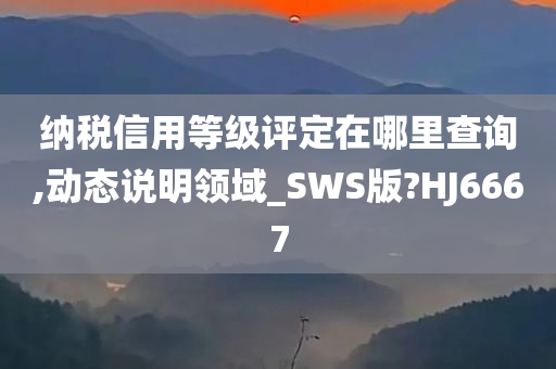 纳税信用等级评定在哪里查询,动态说明领域_SWS版?HJ6667