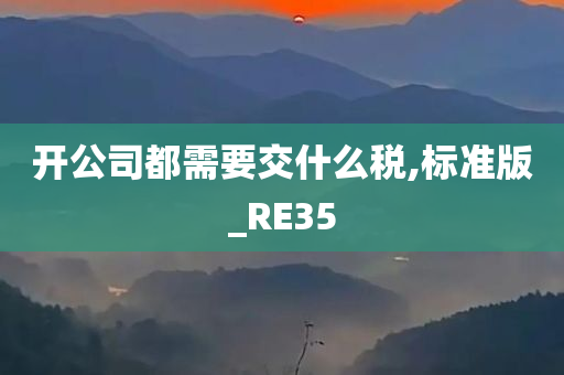 开公司都需要交什么税,标准版_RE35