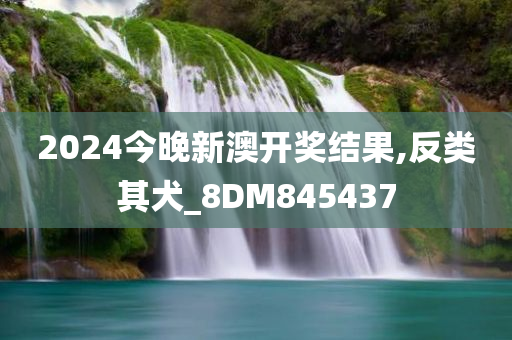 2024今晚新澳开奖结果,反类其犬_8DM845437