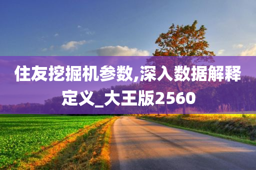 住友挖掘机参数,深入数据解释定义_大王版2560