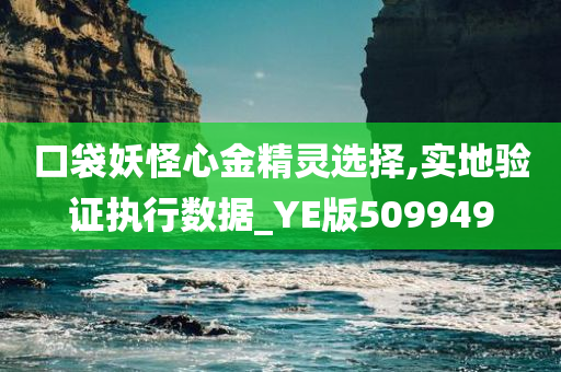 口袋妖怪心金精灵选择,实地验证执行数据_YE版509949