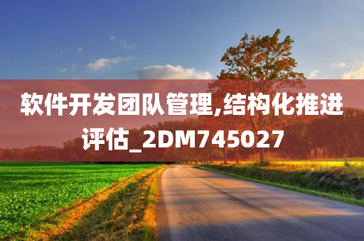 软件开发团队管理,结构化推进评估_2DM745027