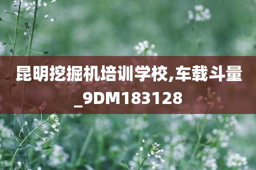 昆明挖掘机培训学校,车载斗量_9DM183128