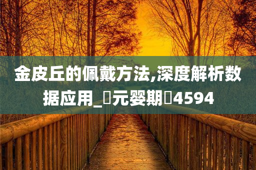 金皮丘的佩戴方法,深度解析数据应用_‌元婴期‌4594