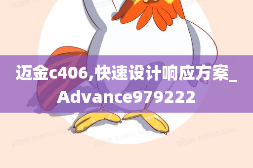 迈金c406,快速设计响应方案_Advance979222