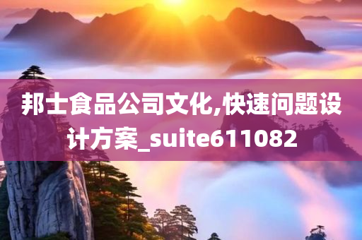 邦士食品公司文化,快速问题设计方案_suite611082