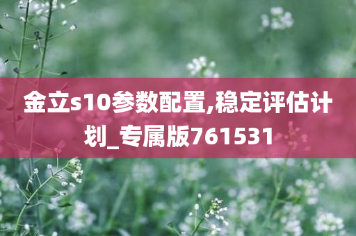 金立s10参数配置,稳定评估计划_专属版761531