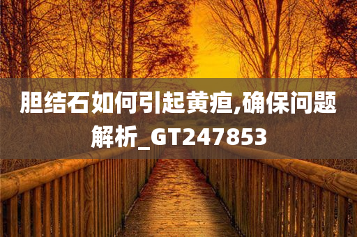 胆结石如何引起黄疸,确保问题解析_GT247853