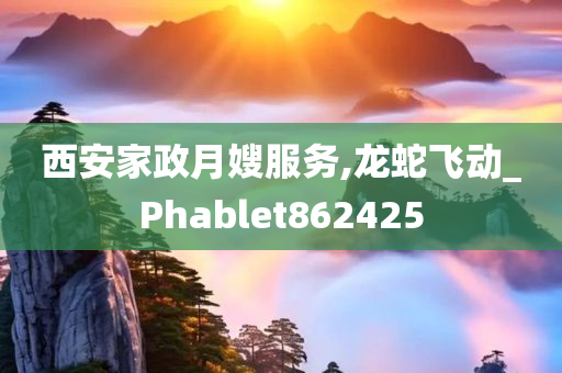 西安家政月嫂服务,龙蛇飞动_Phablet862425