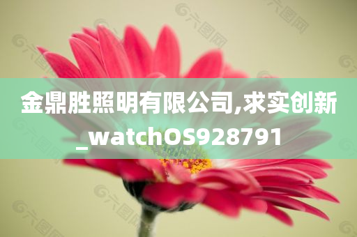 金鼎胜照明有限公司,求实创新_watchOS928791