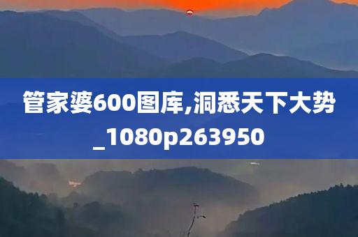 管家婆600图库,洞悉天下大势_1080p263950