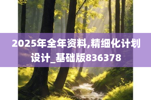 2025年全年资料,精细化计划设计_基础版836378