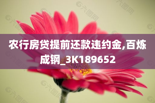 农行房贷提前还款违约金,百炼成钢_3K189652