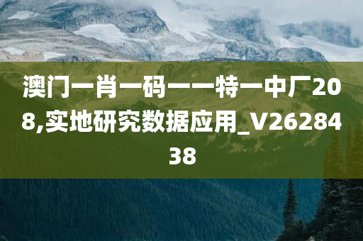 澳门一肖一码一一特一中厂208,实地研究数据应用_V2628438