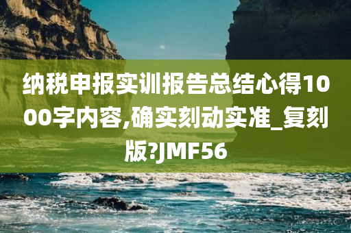 纳税申报实训报告总结心得1000字内容,确实刻动实准_复刻版?JMF56