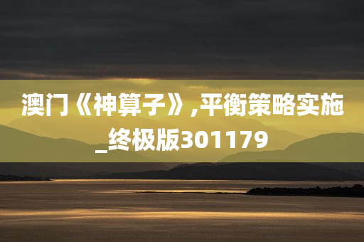 澳门《神算子》,平衡策略实施_终极版301179