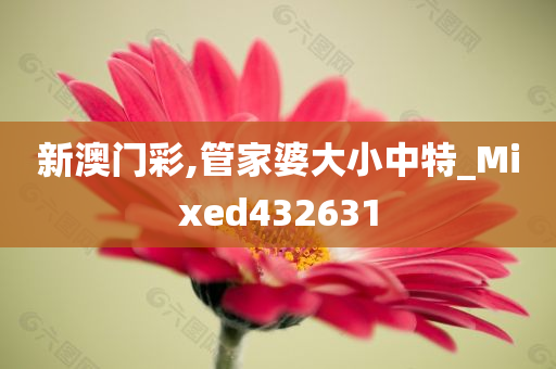 新澳门彩,管家婆大小中特_Mixed432631