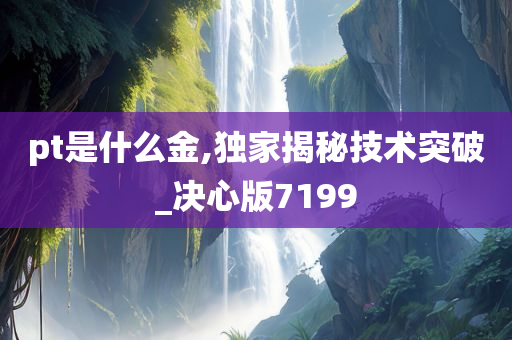 pt是什么金,独家揭秘技术突破_决心版7199