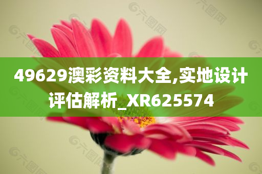 49629澳彩资料大全,实地设计评估解析_XR625574