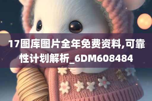 17图库图片全年免费资料,可靠性计划解析_6DM608484