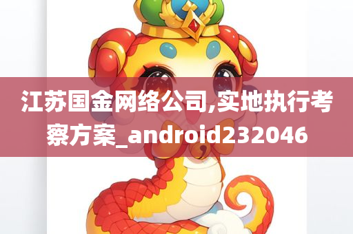 江苏国金网络公司,实地执行考察方案_android232046