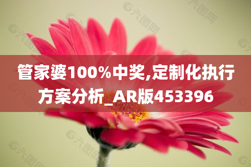 管家婆100%中奖,定制化执行方案分析_AR版453396