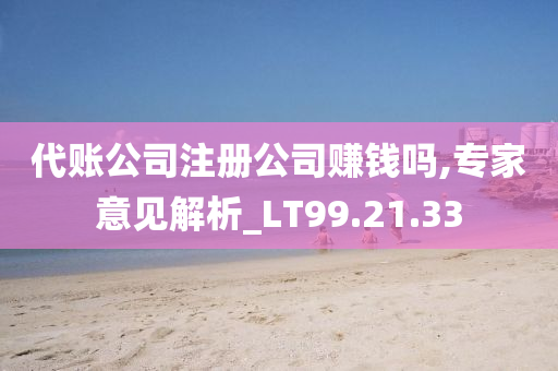 代账公司注册公司赚钱吗,专家意见解析_LT99.21.33