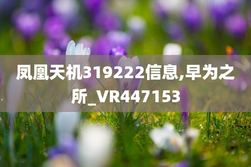 凤凰天机319222信息,早为之所_VR447153