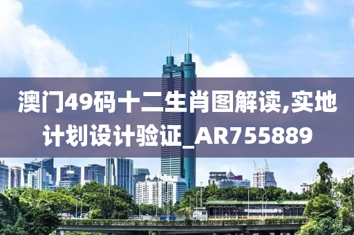 澳门49码十二生肖图解读,实地计划设计验证_AR755889