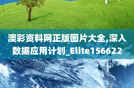 澳彩资料网正版图片大全,深入数据应用计划_Elite156622