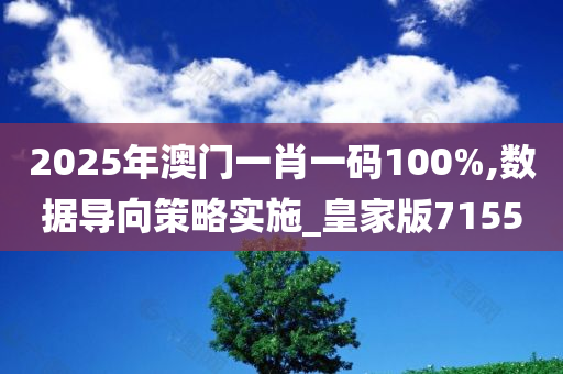 2025年澳门一肖一码100%,数据导向策略实施_皇家版7155