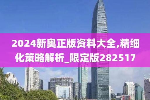 2024新奥正版资料大全,精细化策略解析_限定版282517