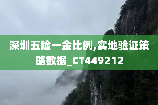 深圳五险一金比例,实地验证策略数据_CT449212