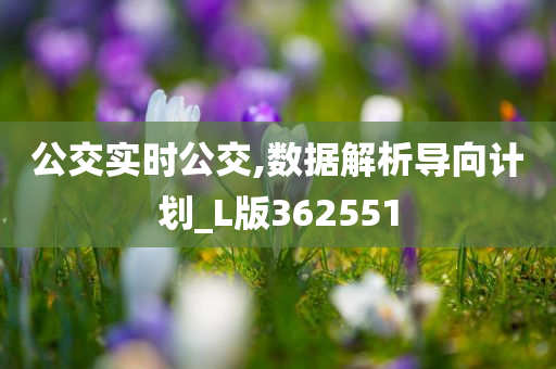 公交实时公交,数据解析导向计划_L版362551