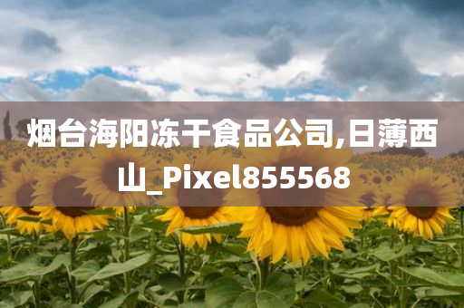 烟台海阳冻干食品公司,日薄西山_Pixel855568