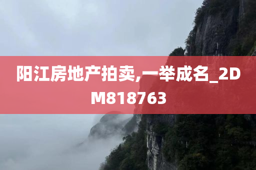 阳江房地产拍卖,一举成名_2DM818763