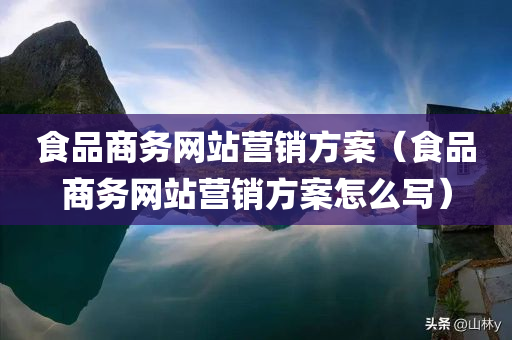 食品商务网站营销方案（食品商务网站营销方案怎么写）