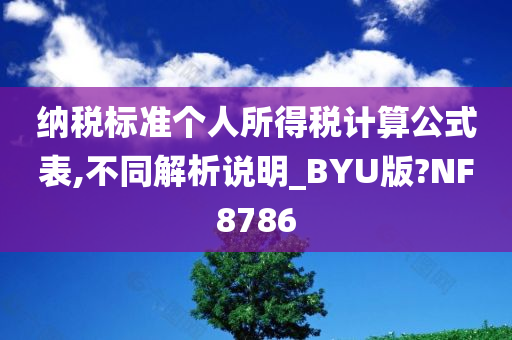 纳税标准个人所得税计算公式表,不同解析说明_BYU版?NF8786