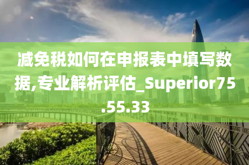 减免税如何在申报表中填写数据,专业解析评估_Superior75.55.33