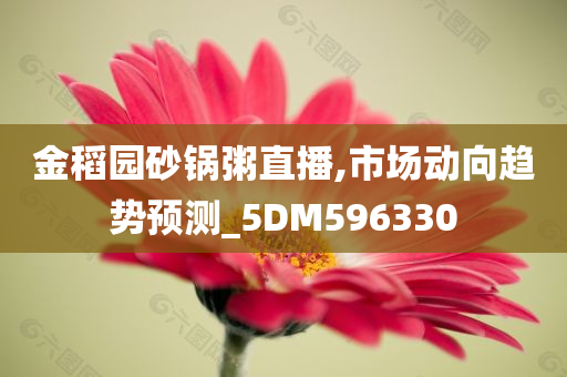 金稻园砂锅粥直播,市场动向趋势预测_5DM596330