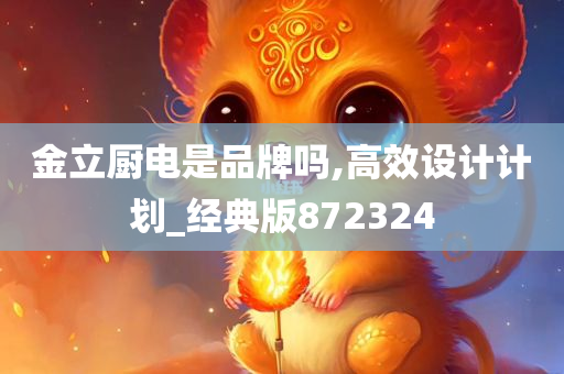 金立厨电是品牌吗,高效设计计划_经典版872324