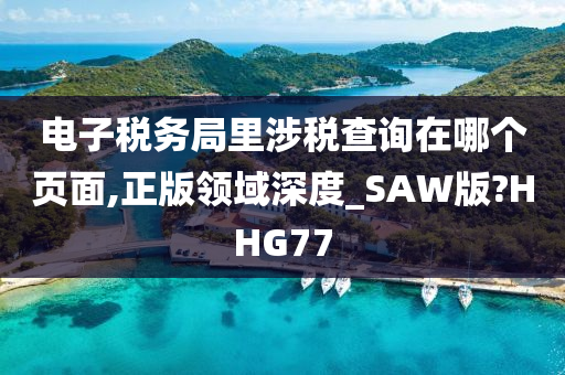 电子税务局里涉税查询在哪个页面,正版领域深度_SAW版?HHG77