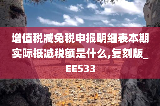 增值税减免税申报明细表本期实际抵减税额是什么,复刻版_EE533