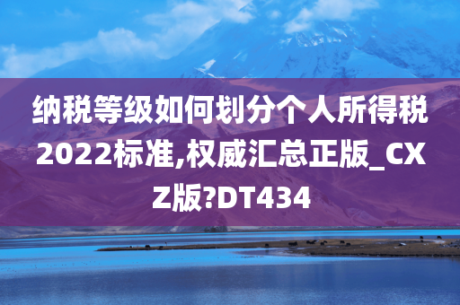 纳税等级如何划分个人所得税2022标准,权威汇总正版_CXZ版?DT434