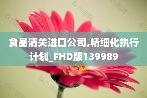 食品清关进口公司,精细化执行计划_FHD版139989