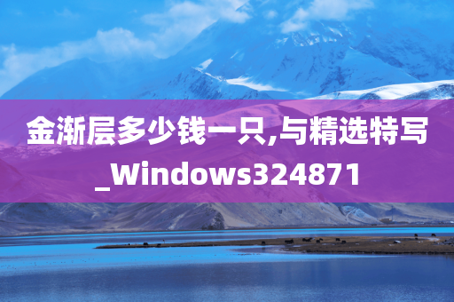 金渐层多少钱一只,与精选特写_Windows324871