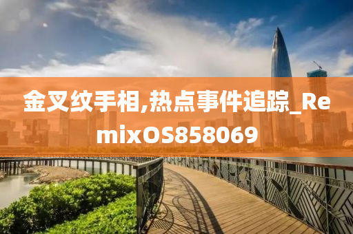 金叉纹手相,热点事件追踪_RemixOS858069