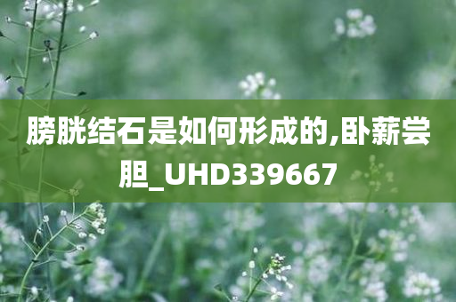 膀胱结石是如何形成的,卧薪尝胆_UHD339667