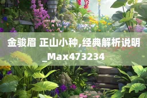 金骏眉 正山小种,经典解析说明_Max473234